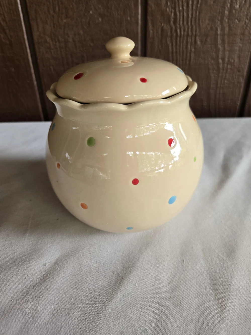 Polka Dot Ceramic 1.3qt Canister with Lid - Presentable Ovenware or Cookie Jar